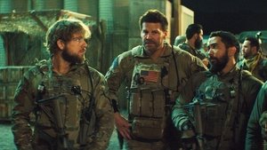 SEAL Team In Name Only