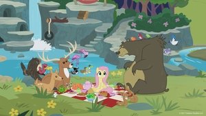 My Little Pony: Przyjaźń to magia Fluttershy wchodzi w rolę