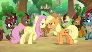 My Little Pony: Przyjaźń to magia Brzmienie ciszy