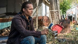 Fear the Walking Dead Na pomoc