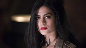 Shadowhunters Sól na rany