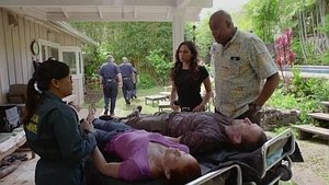 Hawaii 5.0 Odcinek 25
