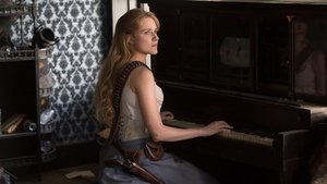 Westworld Phase Space