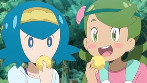 Pokémon Smak goryczy i słodyczy!