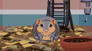 Miasteczko South Park Szybka skrzelówka