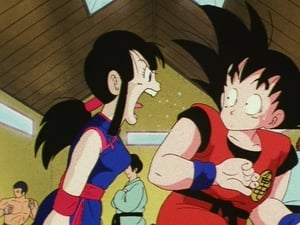 Dragon Ball Eliminacje