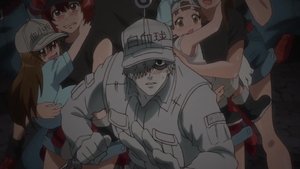 Hataraku Saibou Odcinek 11