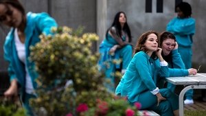 Wentworth. Więzienie dla kobiet Odcinek 4