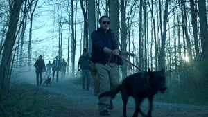 Ozark Na zewnątrz, w ciemności