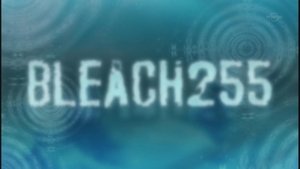 Bleach Odcinek 255