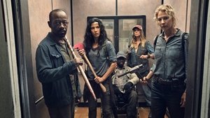 Fear the Walking Dead Zagubieni
