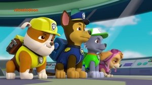 Psi Patrol Pieski ratują Alexa i Danny’ego