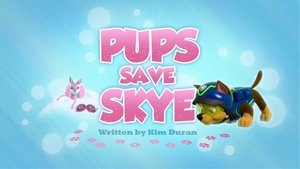 Psi Patrol Pieski ratują Skye