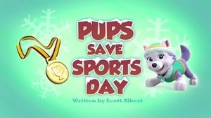 Psi Patrol Pieski ratują dzień sportu