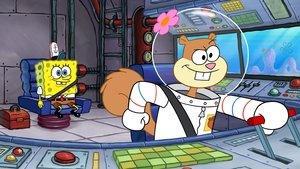 SpongeBob Kanciastoporty Odcinek 37
