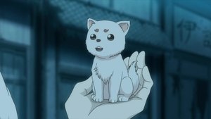 Gintama Odcinek 6