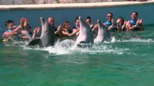 Acapulco Shore Odcinek 7