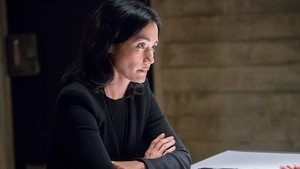 Prawo i porządek: Sekcja specjalna Odcinek 2