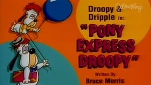 Szczenięce lata Toma i Jerry’ego Kot demolka / Droopy i smok / Szalona mysz