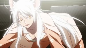 Monogatari Series Kot Tsubasa, część trzecia