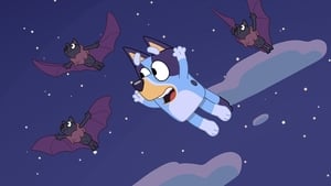 Blue Nietoperz Owocowy