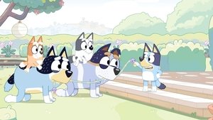 Blue Zabawa w Koniki