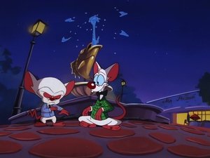Pinky i Mózg Wolny wieczór