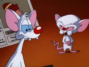 Pinky i Mózg Szczegółowe studia nad historią