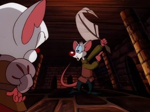 Pinky i Mózg Mózg – bohater hamletyczny