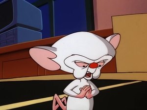 Pinky i Mózg Sposób na skoki