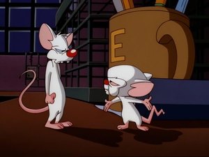 Pinky i Mózg Kto dusi się i krztusi