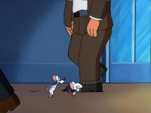 Pinky i Mózg Myszy nie tańczą