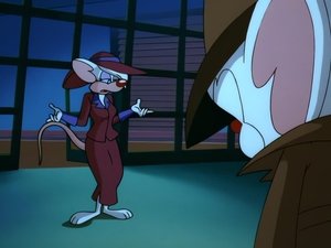 Pinky i Mózg Nie igra się z miłością