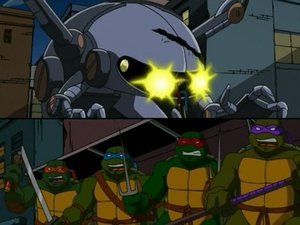 Wojownicze Żółwie Ninja Odcinek 15