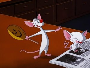 Pinky i Mózg Czarna teczka Pinky’ego