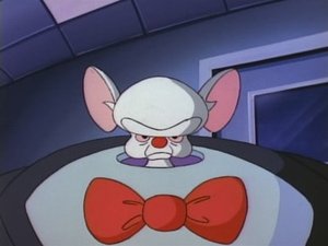 Pinky i Mózg Myszowaty Człowieczy