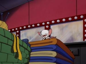 Pinky i Mózg Calvin Mózg