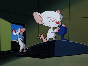 Pinky i Mózg Mówiący posąg
