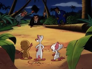 Pinky i Mózg Odmóżdżanie, cz. 3: Wielkie pranie mózgu