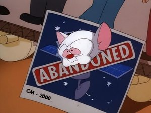 Pinky i Mózg To jeszcze nie wszystko