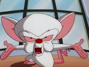 Pinky i Mózg Rodzinka jak malinka