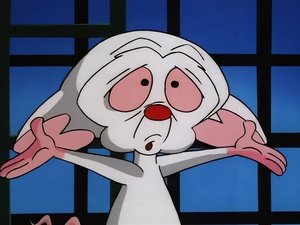 Pinky i Mózg Mózg przyszłości