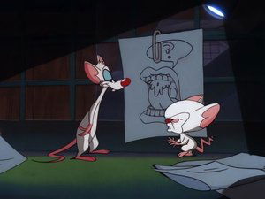 Pinky i Mózg Do Rosji z laboratoryjną myszą