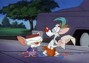 Pinky i Mózg Mózgomania