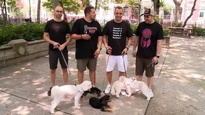 Impractical Jokers Odcinek 21
