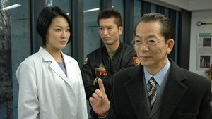 AIBOU: Tokyo Detective Duo Odcinek 14