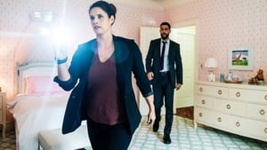 FBI Odcinek 6