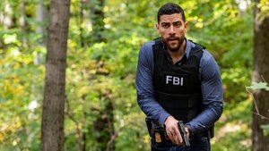 FBI Odcinek 8