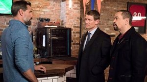 Prawo i porządek: Sekcja specjalna Odcinek 9