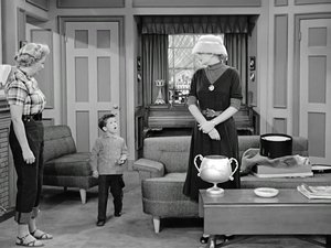 I Love Lucy Odcinek 12